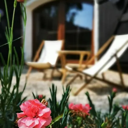 Jagodowy Sad - Z Dwoma Ogrodkami *