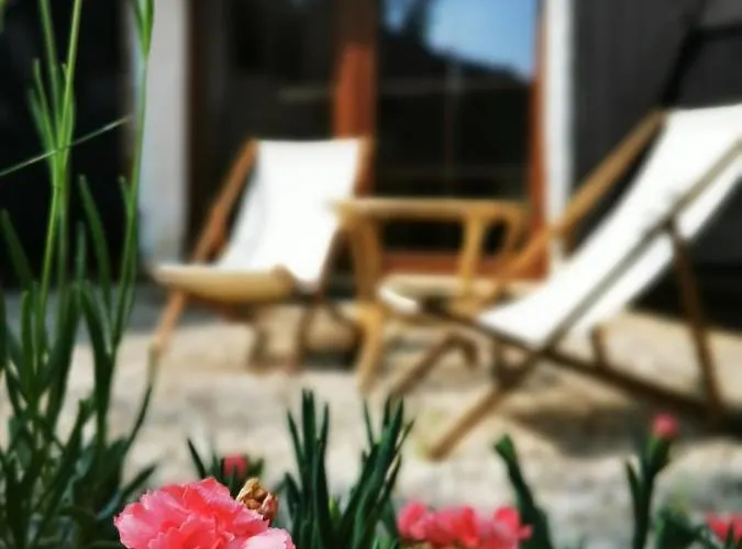 Jagodowy Sad - Z Dwoma Ogrodkami *